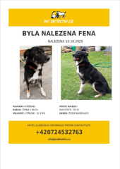 Psí detektiv.cz - nález feny v Radosticích