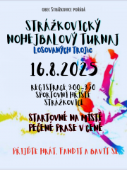 Obec Strážkovice pořádá Strážkovický nohejbalový turnaj 2025